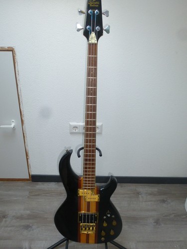 Rarität hoyer taurus bass - taurus,