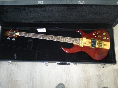 Rarität hoyer taurus bass - raritÄt:,