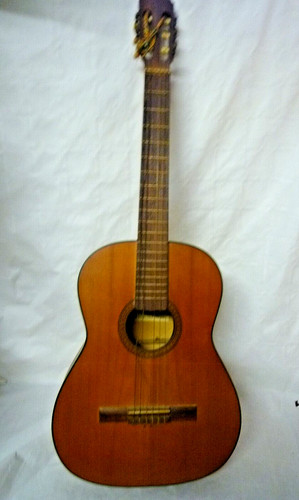 Gitarre akustikgitarre kurt - gitarre,