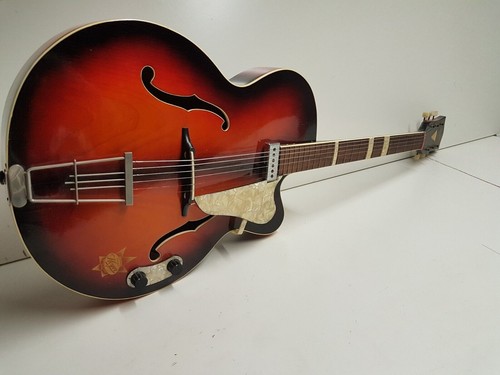 Arnold hoyer expo jazz guitar - expo,