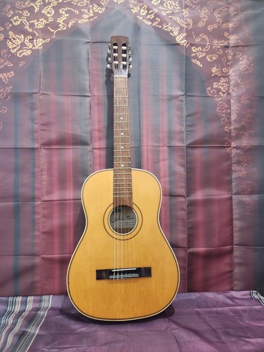 Alte vintage gitarre sheltone - alte,